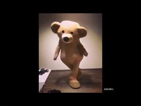 dancing bear hd|725+ Free Dancing Bears 4K & HD Stock Videos